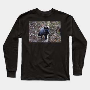 Fox Long Sleeve T-Shirt